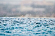 Forschungsprogramm Wasser Forschungsprogramm Wasser