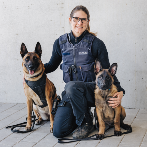 Polizistin mit 2 Schäferhunden der Polizeihundestaffel