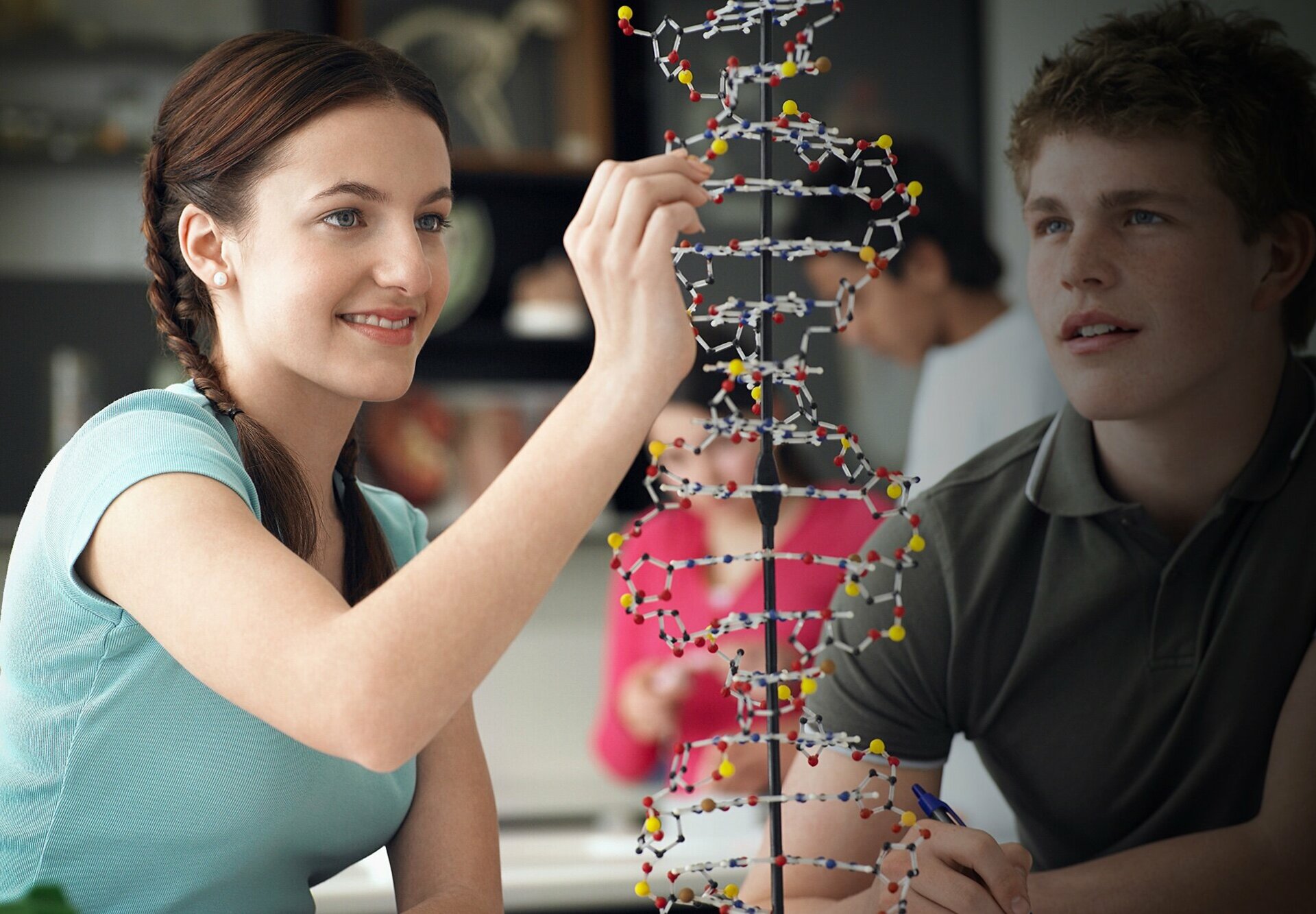 Zwei Jugendliche (Mädchen und Junge) arbeiten gemeinsam an einem großen DNA-Strang
