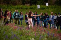 Literatursommer 2026