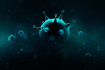 Antivirale Therapien