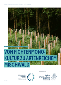 Projektbericht Waldumbau Hechingen-Stetten