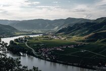 Perspektive Donau