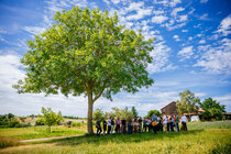 Kick-Off BWimpact - Agroforst